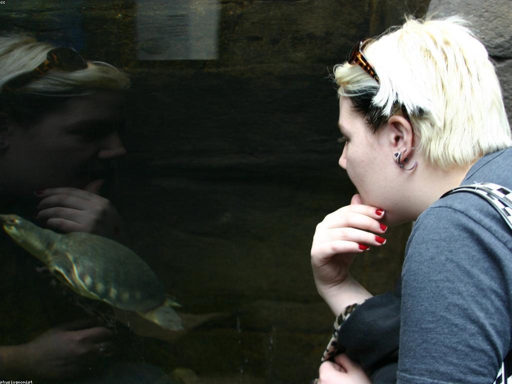 សារៈសំខាន់នៃការវាយតម្លៃក្នុងការស្រាវជ្រាវ