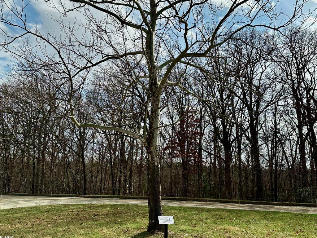 សារៈសំខាន់នៃការវាយតម្លៃនៅក្នុងអប់រំ